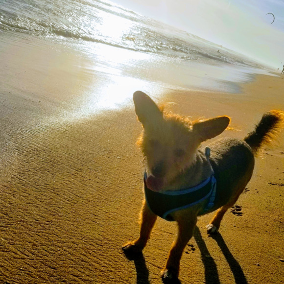 Profile Picture of Cali Cali (@cali202020) on Poshmark