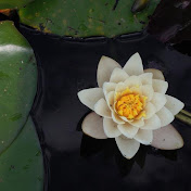 Profile Picture of Gary Hayes (@garyhayes5248) on Youtube