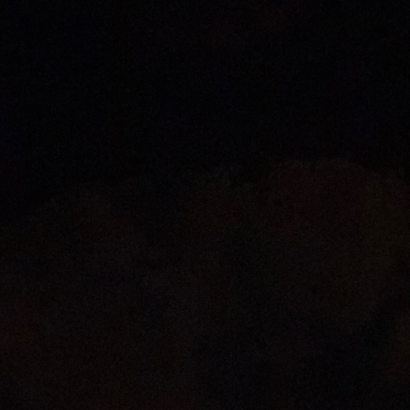 Profile Picture of Dominic Allen (@person1964) on Poshmark