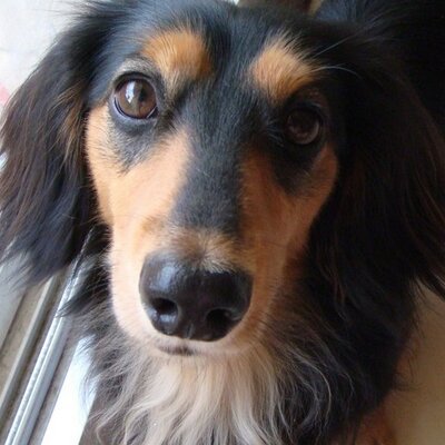 Profile Picture of Kathy Hsu (@KathyHsu1) on Twitter