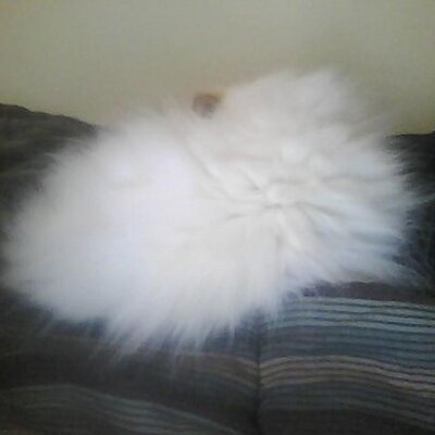 Profile Picture of William Pearce (@williampearce) on Twitter