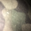 Profile Picture of Kyle Boldt287 (@the_boss421) on Tiktok