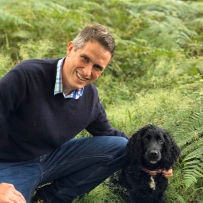 Profile Picture of Gavin Williamson (@GavinWilliamson) on Twitter