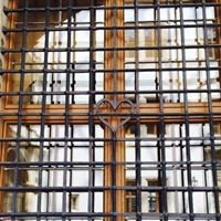 Profile Picture of Tracy Savage Mollenholt (@tracy-savage-mollenholt) on Quora