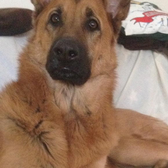 Tammy Nutwell - Poshmark Profile Picture of Tammy Nutwell (@tnutwell) on Poshmark