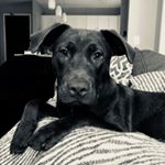 Profile Picture of Eric Fletty (@fletinsky) on Instagram