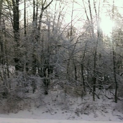 Profile Picture of Jon Prell (@JDog991) on Twitter