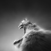 Profile Picture of Juan Cavazos (@juancavazos911) on Youtube