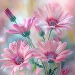 Profile Picture of Shann Rininger (@shann.rininger) on Facebook