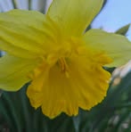 Profile Picture of Michelle Cutcher (@michelle.cutcher.9) on Facebook