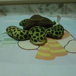 Jimmy Lim - Instagram Profile Picture of Jimmy Lim (@loyal_angel_guard) on Instagram