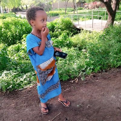 Profile Picture of Assefa Berhe Gebremedhen (@AssefaBerheGeb1) on Twitter