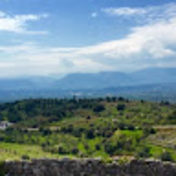 Profile Picture of Briana Mazzocchi (@brianamazzocchi) on Poshmark