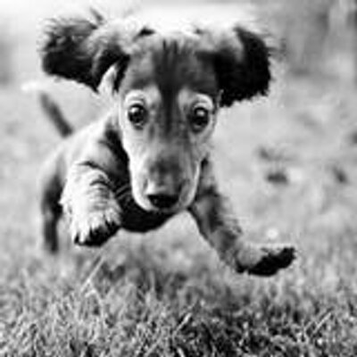 Profile Picture of John Philip Silverio (@johnny_lisp) on Twitter