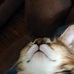 Profile Picture of Betty Clack (@betty.clack.731) on Facebook