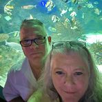 Profile Picture of Tammy Qualls Nix (@tnix1) on Facebook