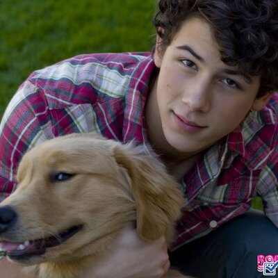 Profile Picture of Stefan Jonas (@jonas_stefan) on Twitter