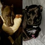 Profile Picture of Dawn Dorman (@anniendoc) on Instagram