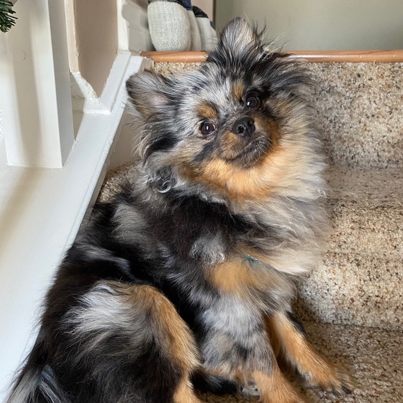 Cara Nania - Poshmark Profile Picture of Cara Nania (@cgnania) on Poshmark