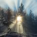 Profile Picture of clifford kramer (@cliffkramer63) on Pinterest