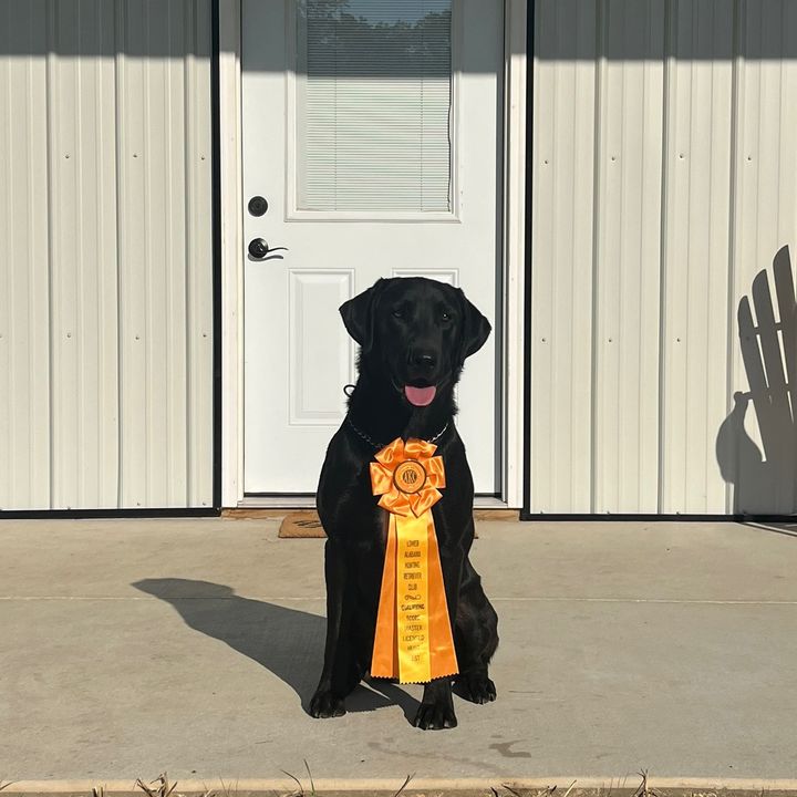 Profile Picture of wandarodney (@user43134830381193) on Tiktok