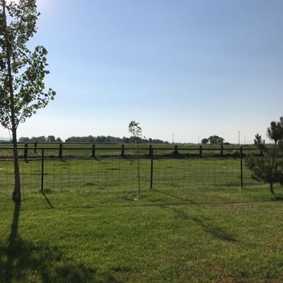 Profile Picture of Jayce Downs (@jaycer95d) on Twitter