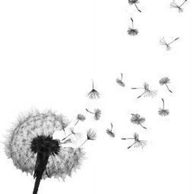 Profile Picture of Melissa Karl (@Mel_Karl) on Twitter