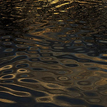 Profile Picture of Grayarts (@grayarts) on Flickr