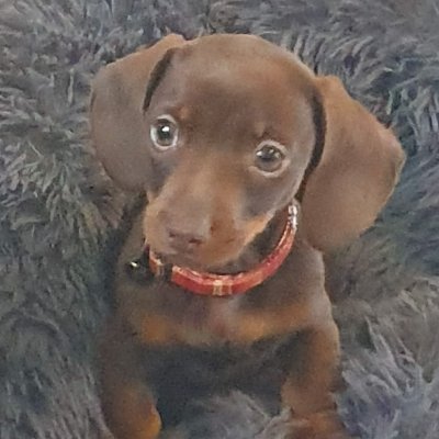 Profile Picture of Deborah Mckenna (@Deborah59137933) on Twitter