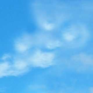 Profile Picture of Leonard Wilkens (@leonard.wilkens.773) on Facebook