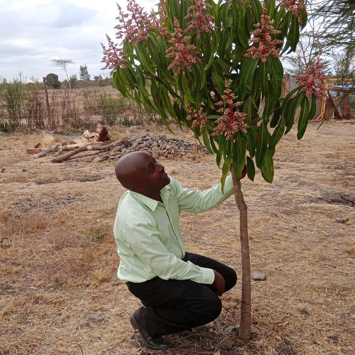 Profile Picture of jeremy kish (@jkn254) on Tiktok