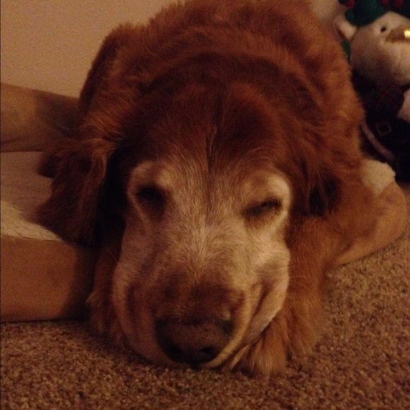 Profile Picture of Kaylee Mcmacken (@kayleemcmacken) on Poshmark