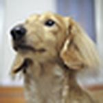 Hsin-hung - Flickr Profile Picture of Hsin-hung (@hsin-hung) on Flickr