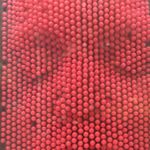 Profile Picture of 🐯👌Bradley Chatfield👌🐯 (@y.e.e.t.orbeyeeted) on Instagram