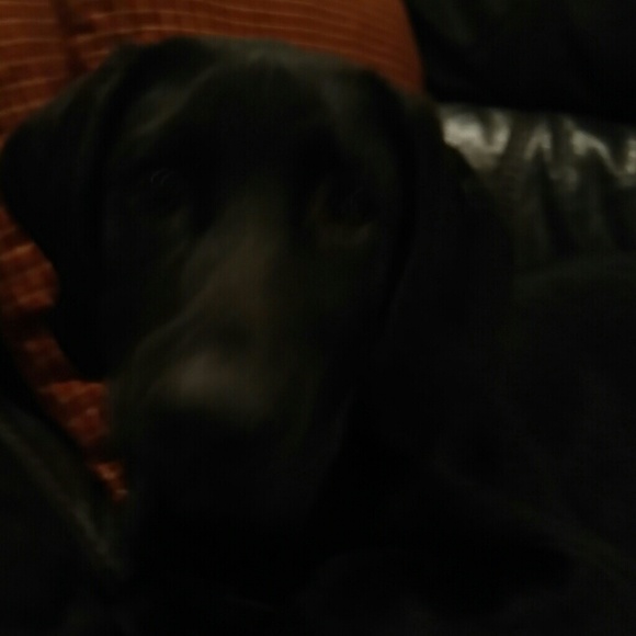 Profile Picture of Dustin Morrow (@dmorrow0327) on Poshmark