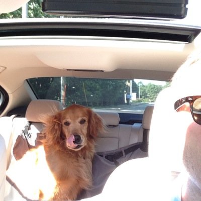 Profile Picture of Jason Kelley (@JasonKelley_NC) on Twitter