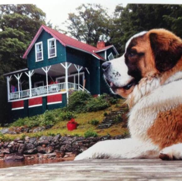 Profile Picture of Natasha Egener (@egenernatasha) on Poshmark