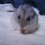 Profile Picture of Glenn Byström (@glenn.bystrom) on Facebook