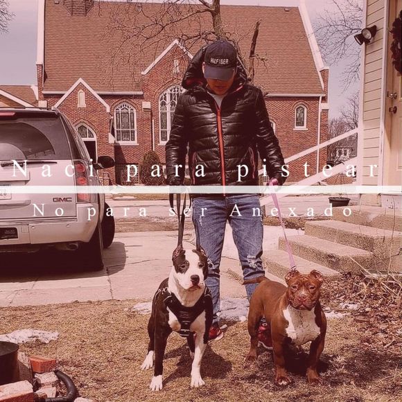 Profile Picture of Jacob Páramo (@braulioparamo1) on Poshmark