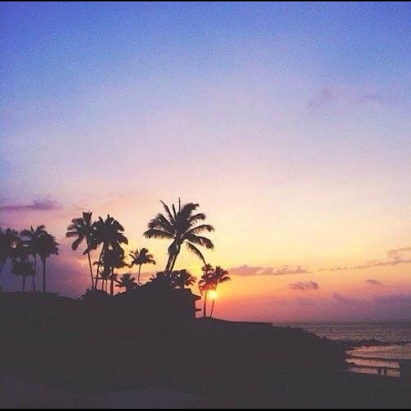 Profile Picture of Pamela Alvarez (@pama_lamala12) on Poshmark