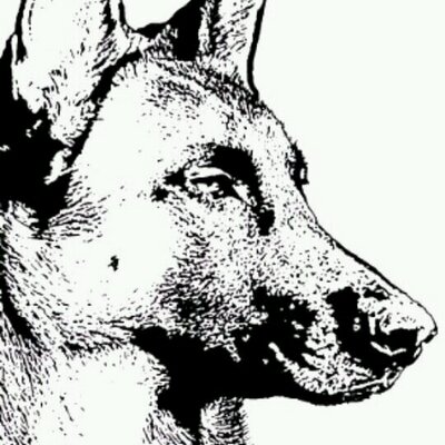 Profile Picture of Steve Jost (@JostLu) on Twitter