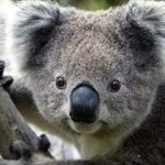 Profile Picture of Peter Stirling 😋 (@peter_stirling_) on Instagram