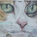 Profile Picture of Lisa Furness (@lisa.furness.18) on Facebook