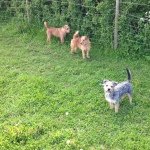 Profile Picture of Terry Lines (@bikerterry00) on Instagram