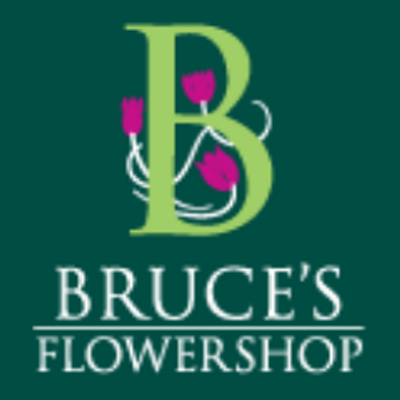 Profile Picture of Bruce's Flower Shop (@brucesflowers) on Twitter