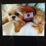 Colleen Hartnett - Instagram Profile Picture of Colleen Hartnett (@colleen.hartnett) on Instagram