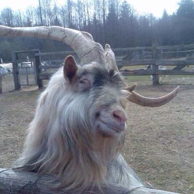 Profile Picture of Luke Dunham (@_ldunham_) on Twitter