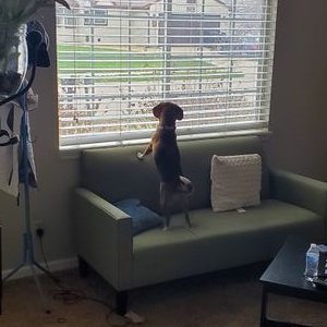 Profile Picture of Matt Fickle (@fickle_matt) on Twitter