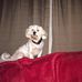 Profile Picture of Tina Engler (@tina.engler.73) on Facebook