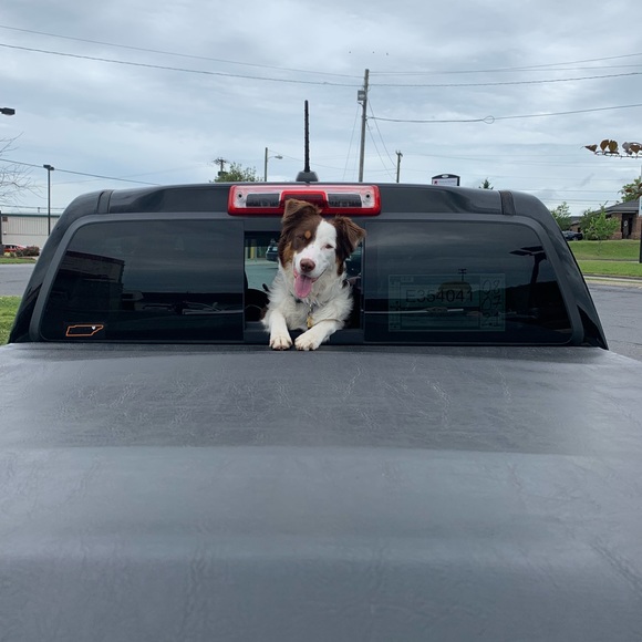 Profile Picture of Madeline Bruzzo (@madelinebruzzo) on Poshmark